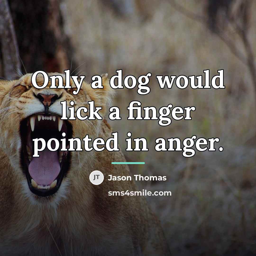 “Only a dog would lick a finger pointed in anger.…” quote by Jason Thomas
