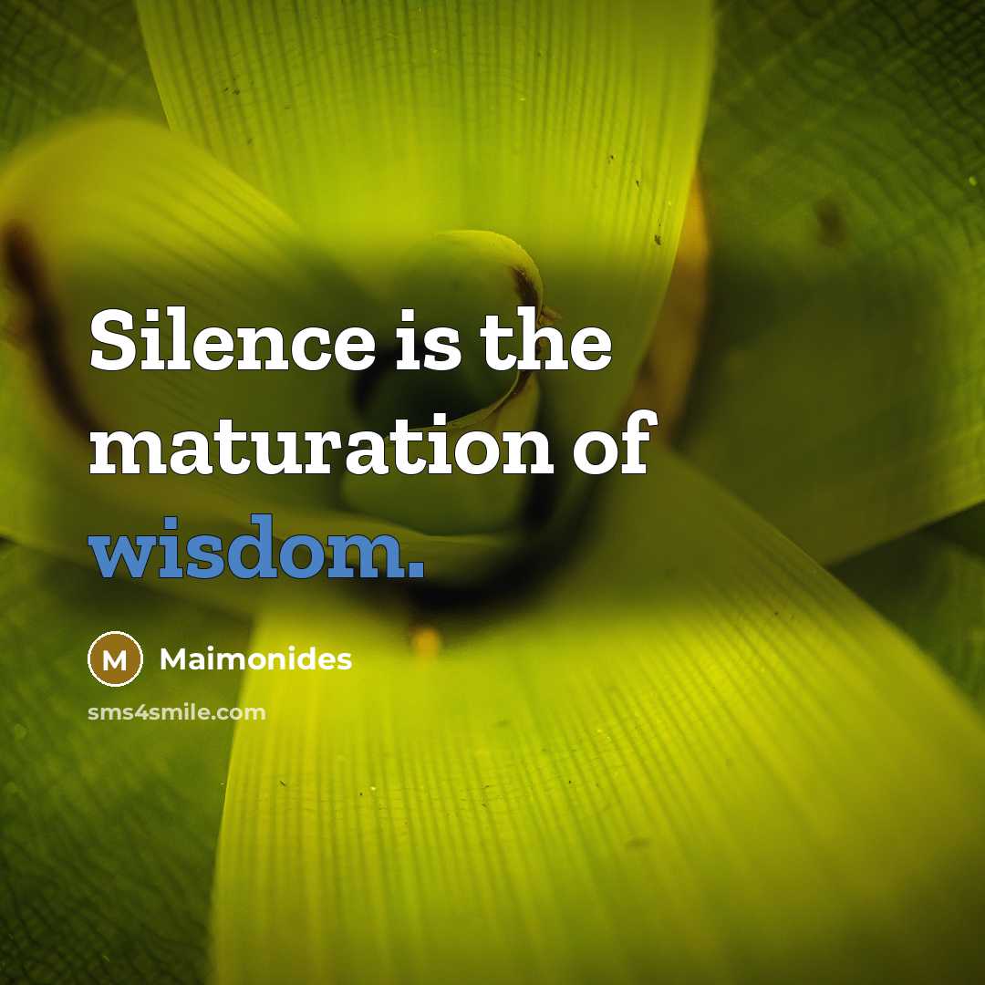 “Silence is the maturation of wisdom.…” quote by Maimonides
