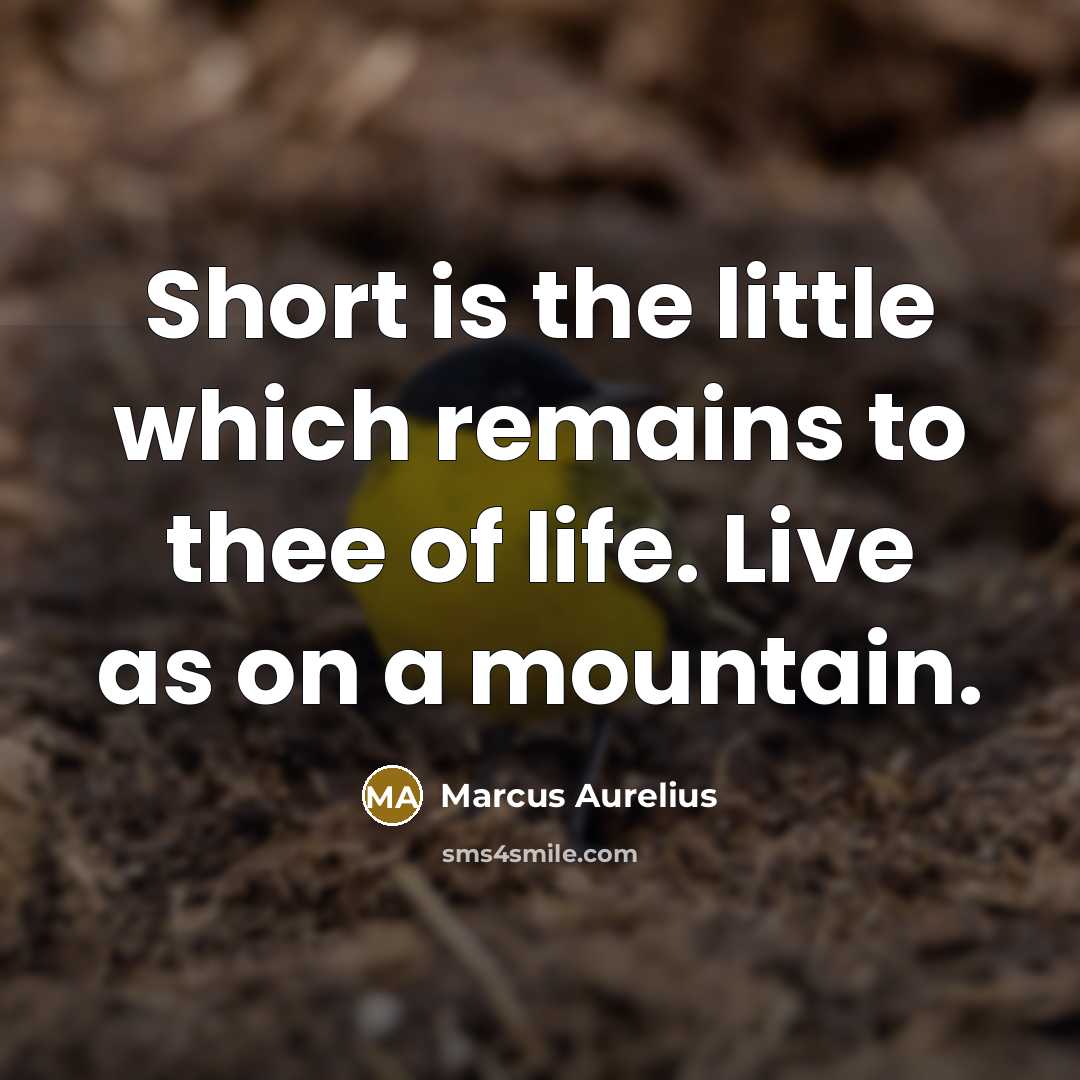 “Short is the little which remains to thee of life.…” quote by Marcus Aurelius