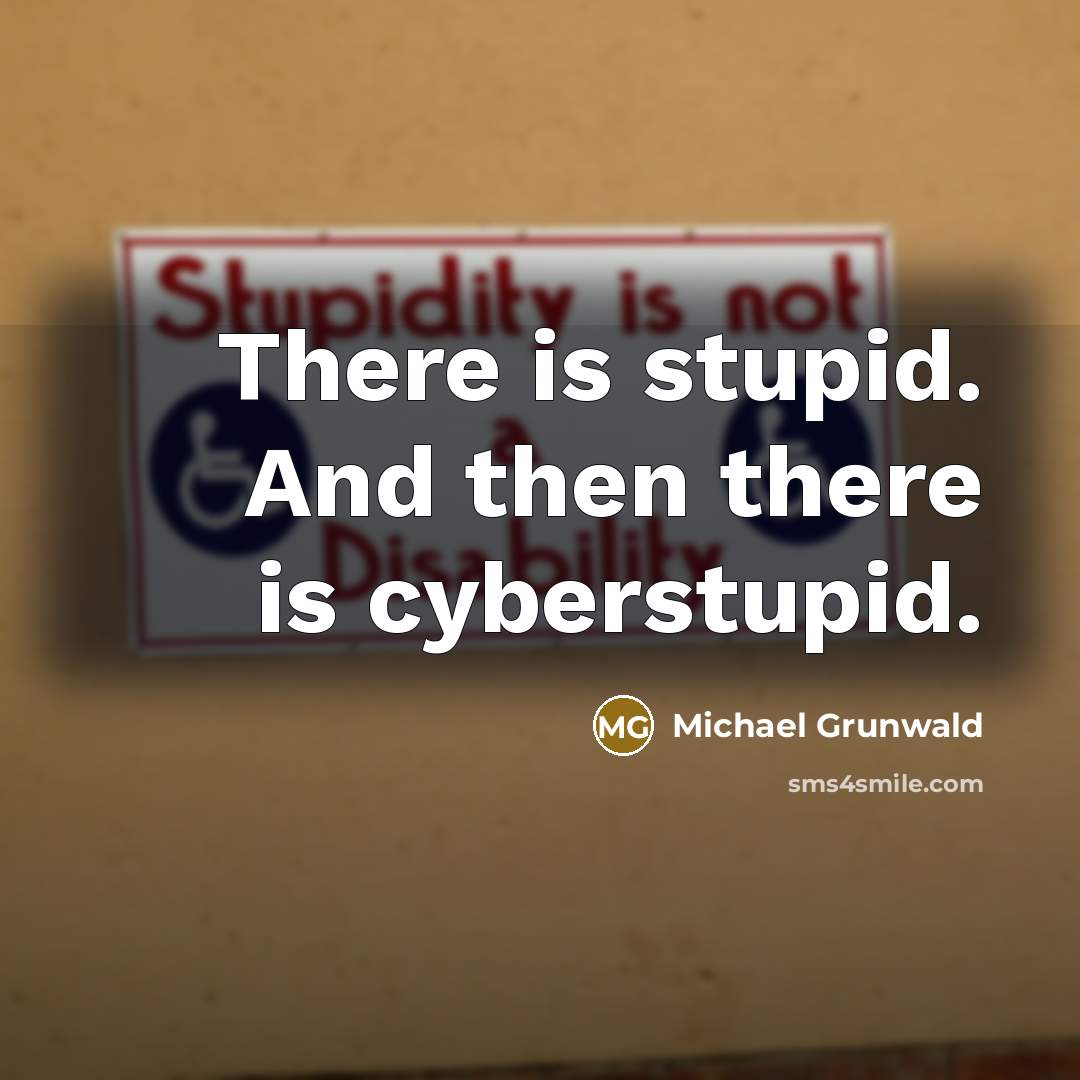 “There is stupid. And then there is cyberstupid.…” quote by Michael Grunwald