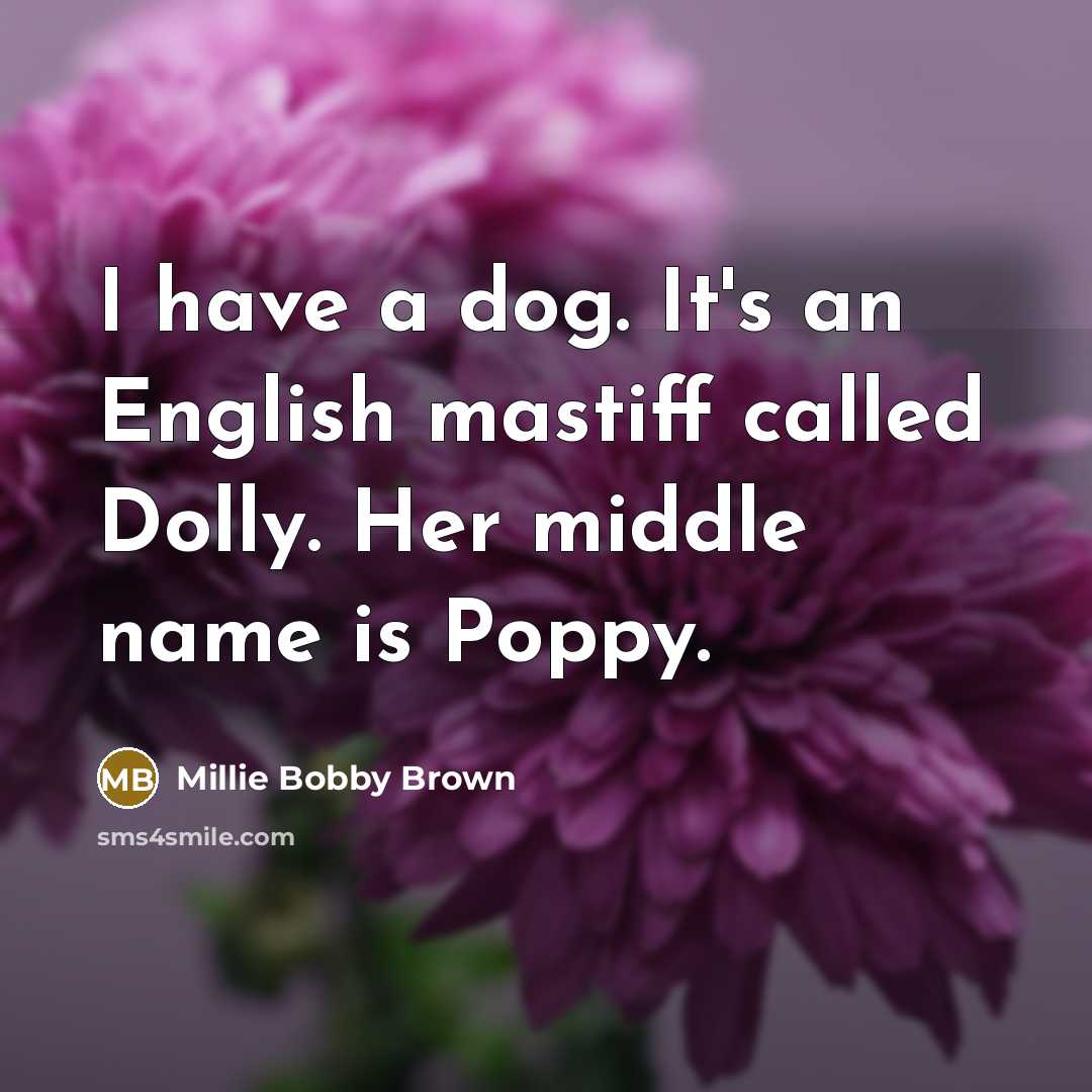 “I have a dog. It's an English mastiff called Dolly.…” quote by Millie Bobby Brown