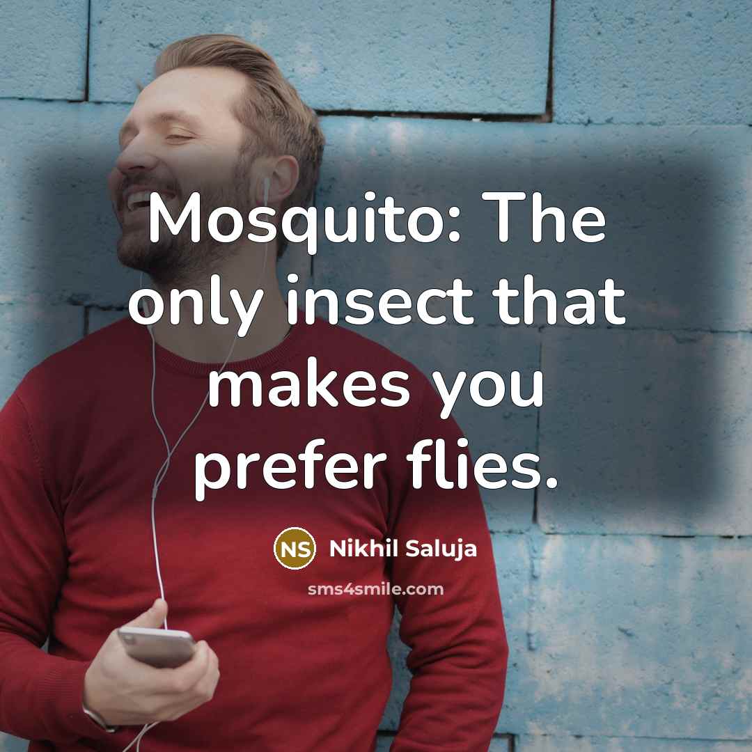 “Mosquito: The only insect that makes you prefer flies.…” quote by Nikhil Saluja