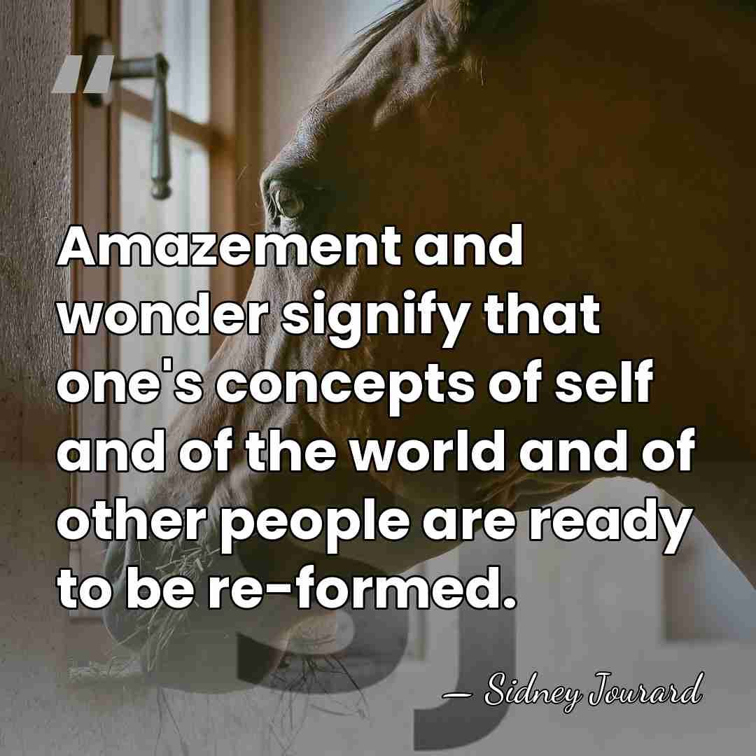 Amazement and wonder signify that one's concepts of self and of the&hellip; - Sidney Jourard