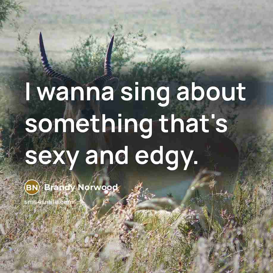 “I wanna sing about something that's sexy and edgy.…” quote by Brandy Norwood