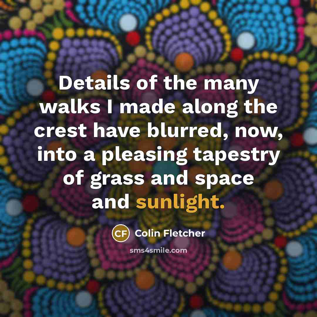 “Details of the many walks I made along the crest…” quote by Colin Fletcher