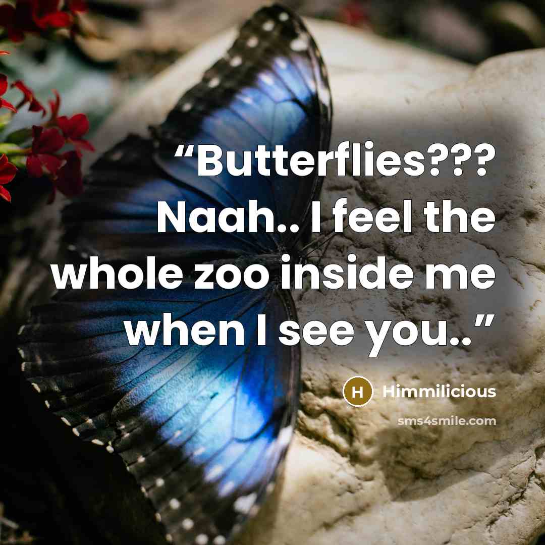 “Butterflies??? Naah.. I feel the whole zoo inside me when I see you..” quote by Himmilicious