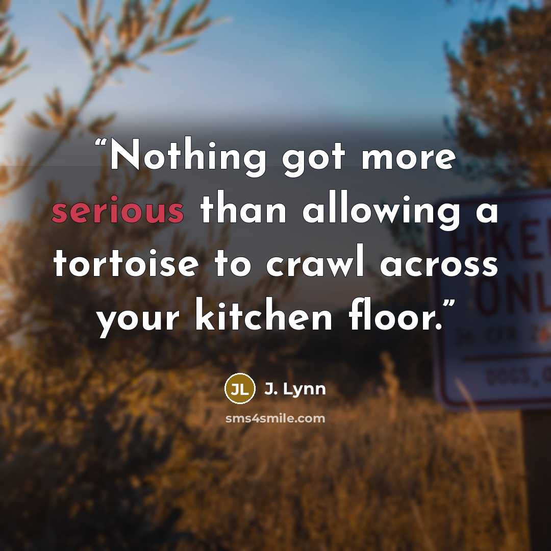 “Nothing got more serious than allowing a tortoise to crawl across your kitchen floor.” quote by J. Lynn