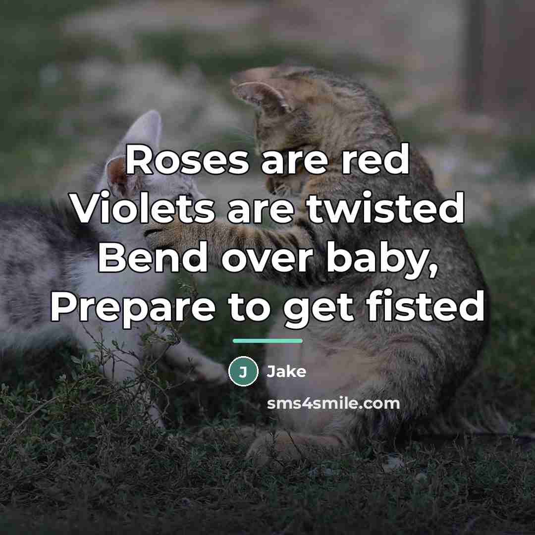 “Roses are red Violets are twisted Bend over baby, Prepare…” quote by Jake