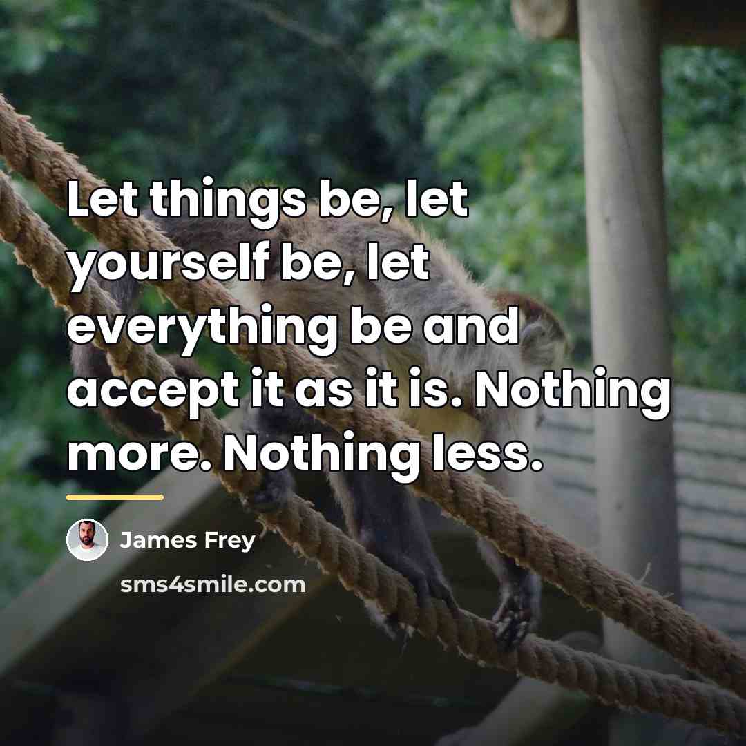 “Let things be, let yourself be, let everything be and…” quote by James Frey
