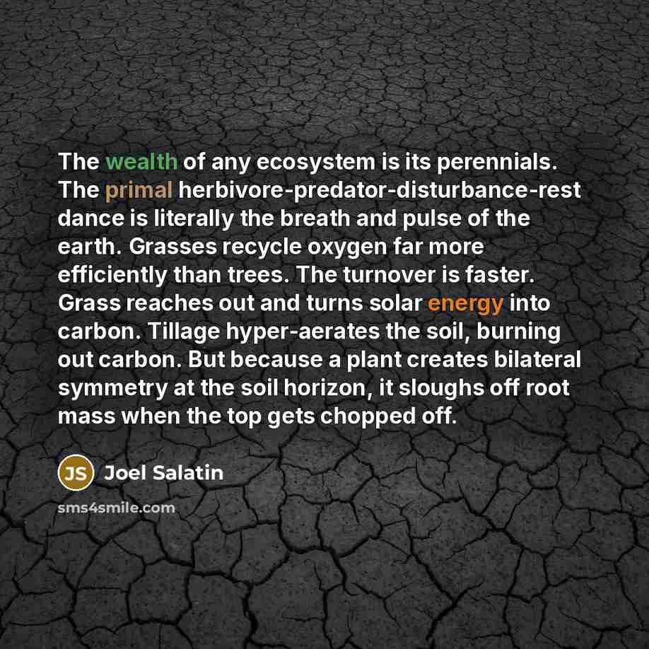 “The wealth of any ecosystem is its perennials. The primal…” quote by Joel Salatin