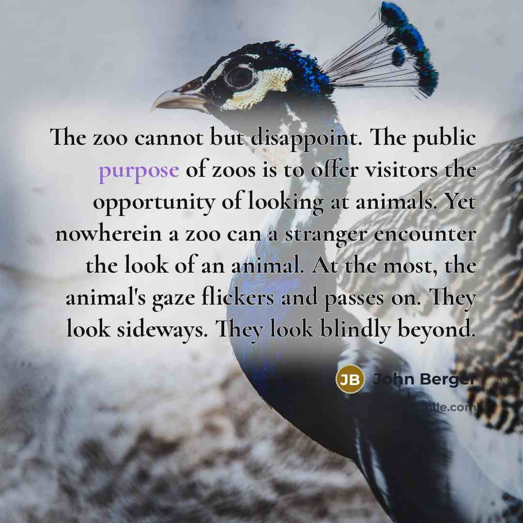 “The zoo cannot but disappoint. The public purpose of zoos…” quote by John Berger