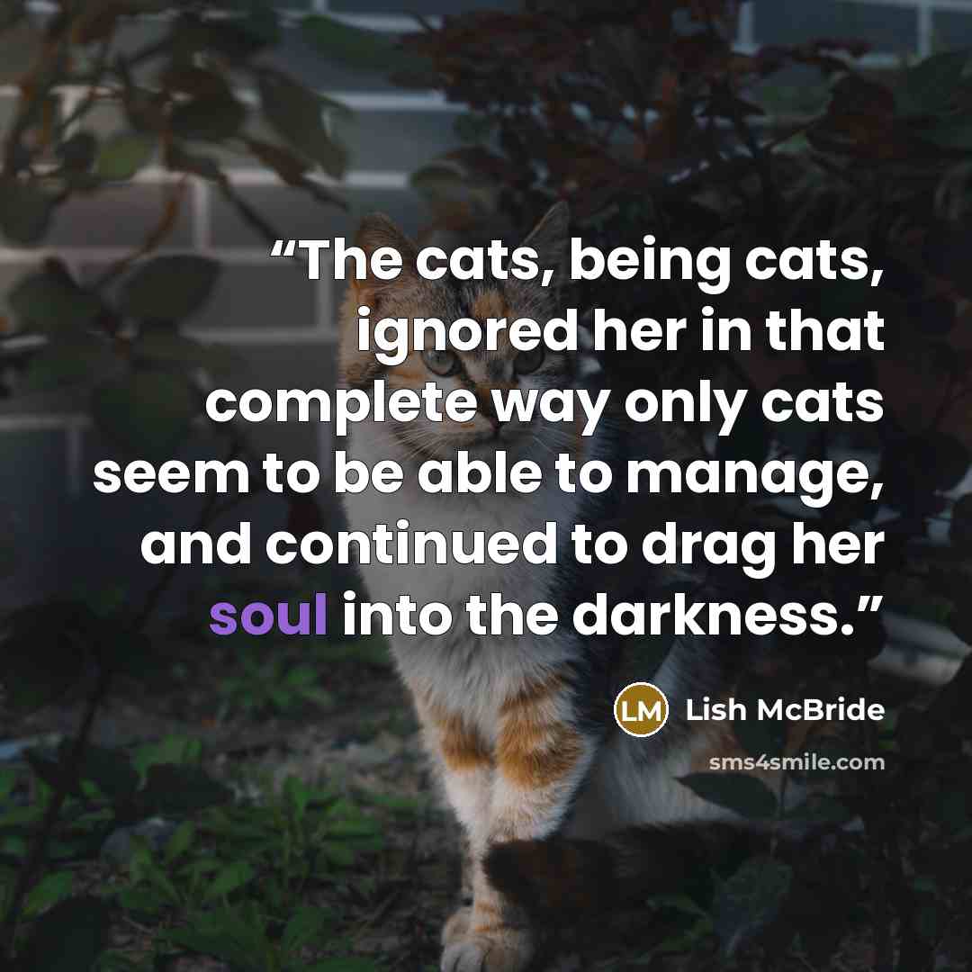 “The cats, being cats, ignored her in that complete way only cats seem to be able to manage, and continued to drag her soul into the darkness.” quote by Lish McBride