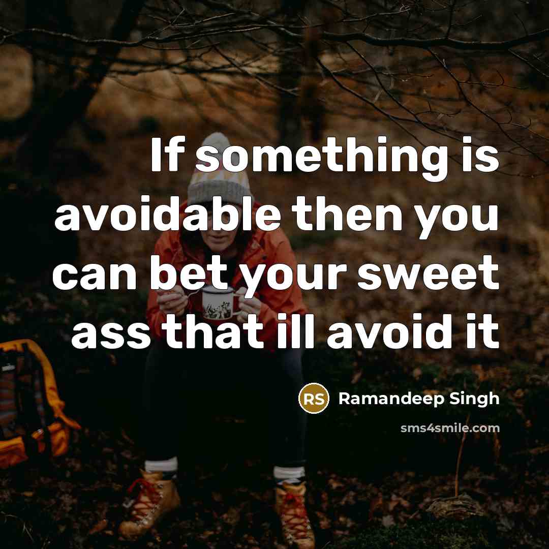 “If something is avoidable then you can bet your sweet ass that ill avoid it” quote by Ramandeep Singh