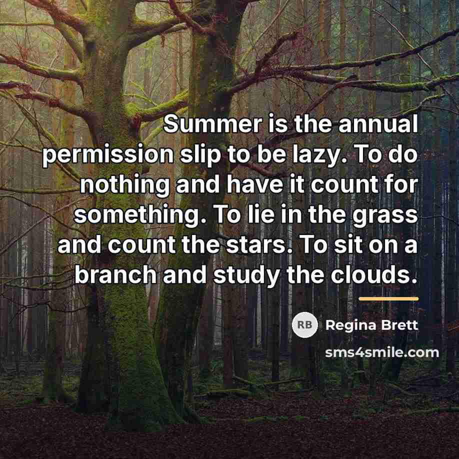 “Summer is the annual permission slip to be lazy. To…” quote by Regina Brett