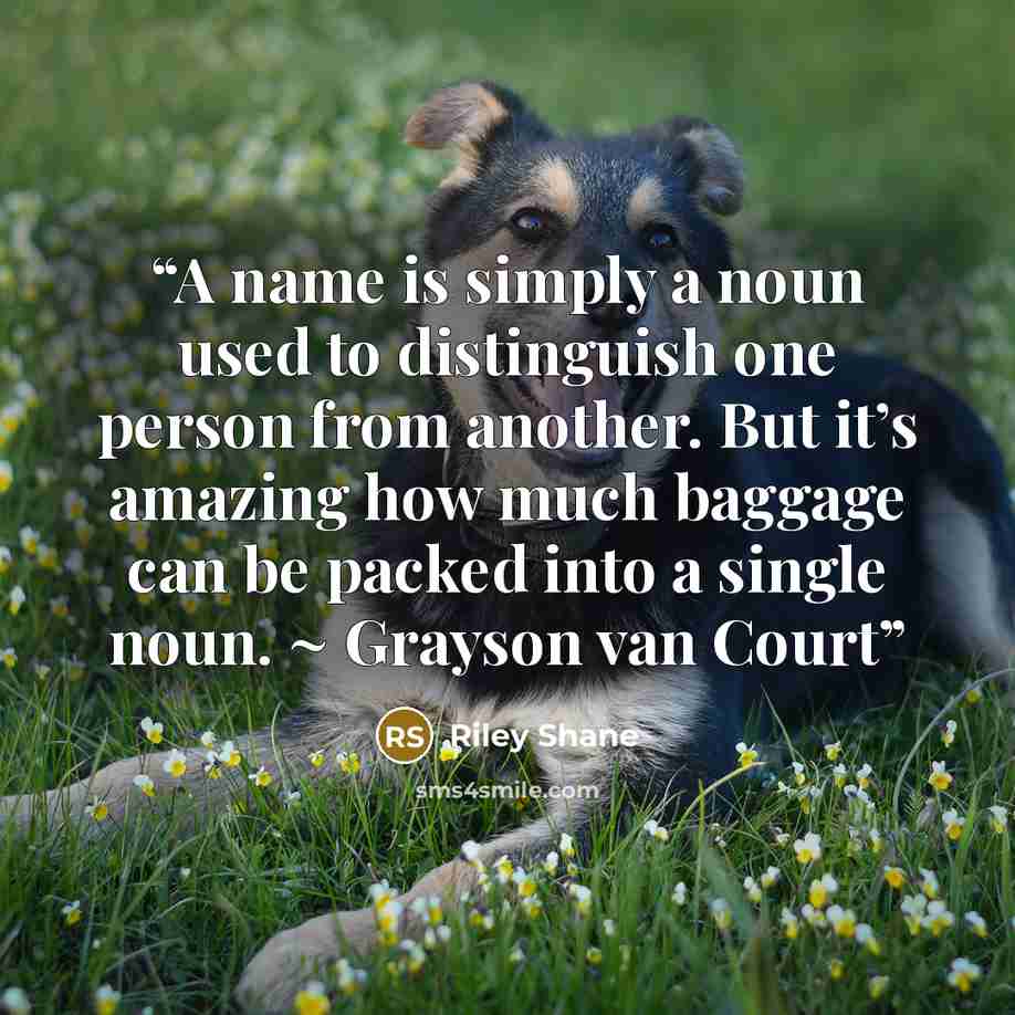 “A name is simply a noun used to distinguish one person from another. But it’s amazing how much baggage can be packed into a single noun. ~ Grayson van Court” quote by Riley Shane