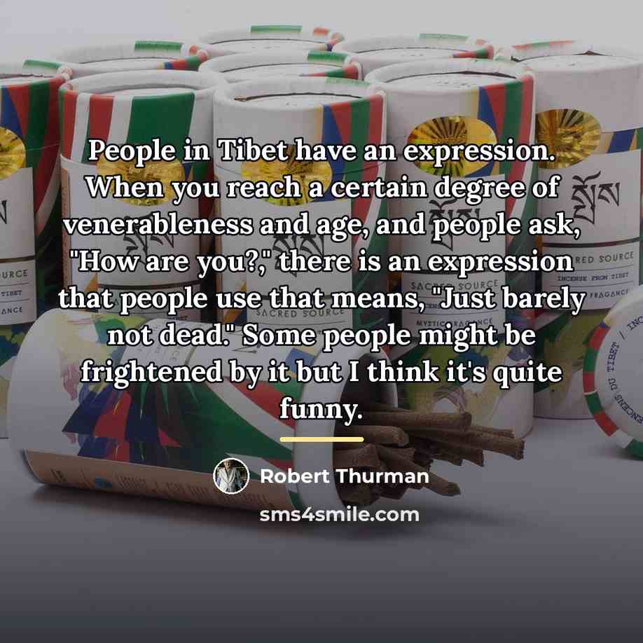 “People in Tibet have an expression. When you reach a…” quote by Robert Thurman