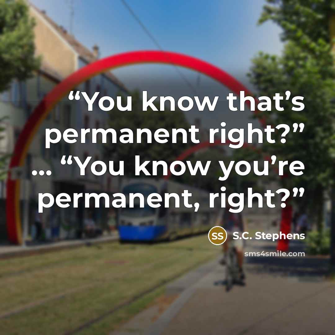 “You know that’s permanent right?” … “You know you’re permanent, right?” quote by S.C. Stephens