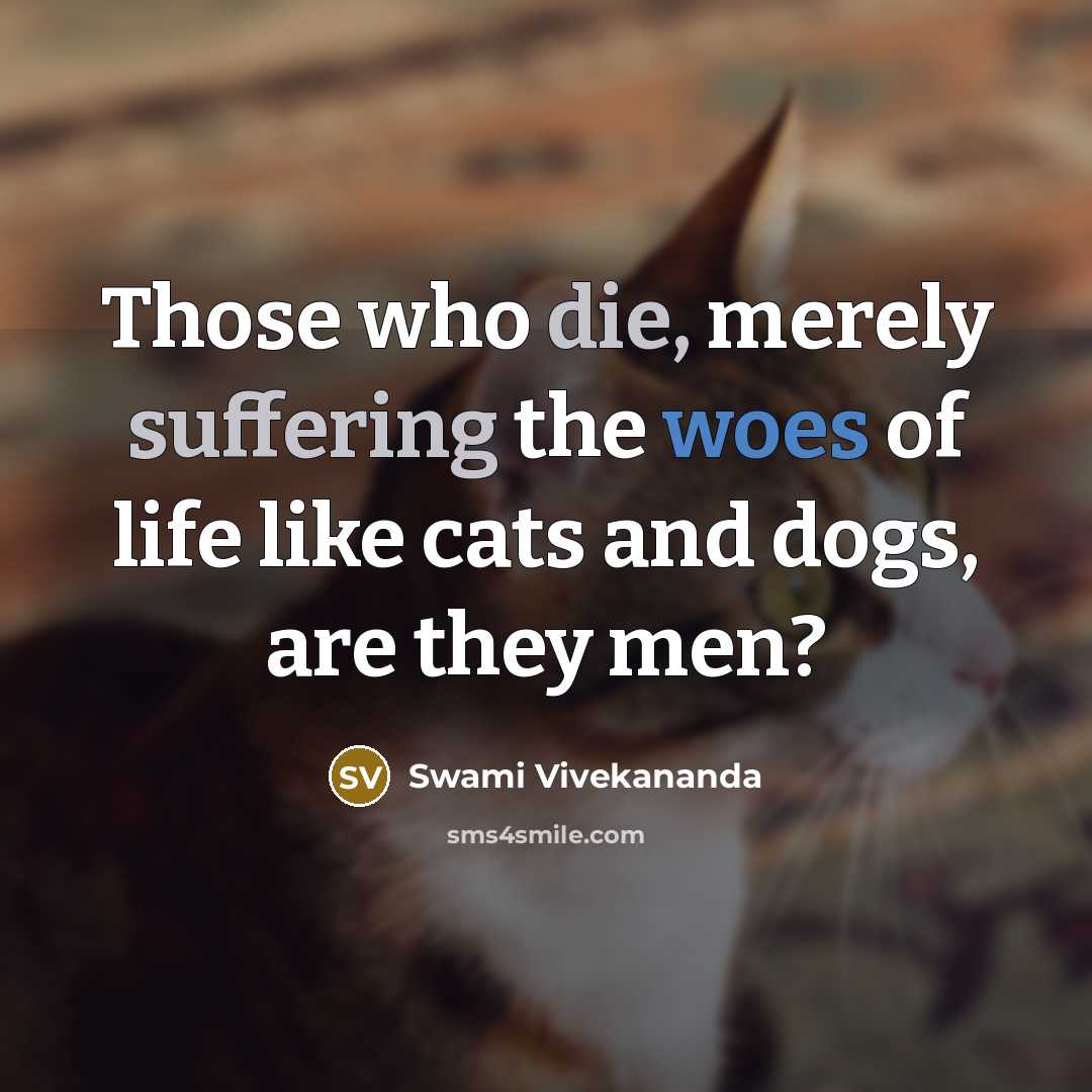 “Those who die, merely suffering the woes of life like cats and dogs, are they men?” quote by Swami Vivekananda