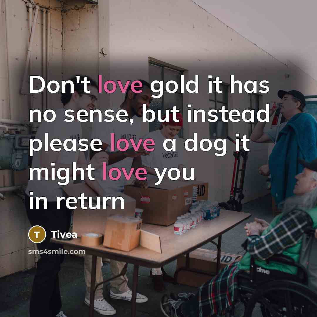 “Don't love gold it has no sense, but instead please…” quote by Tivea