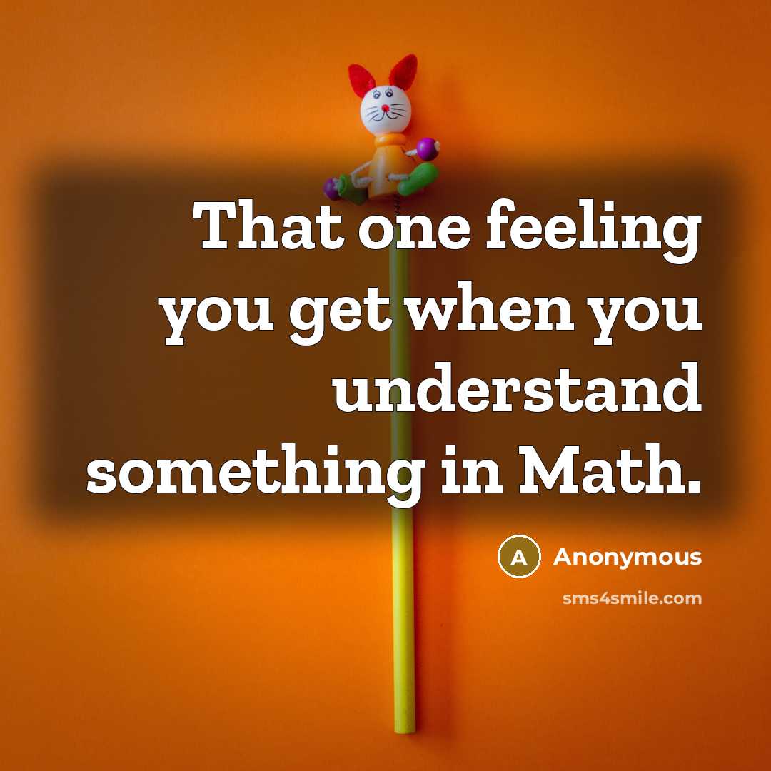 “That one feeling you get when you understand something in Math.” quote by Anonymous