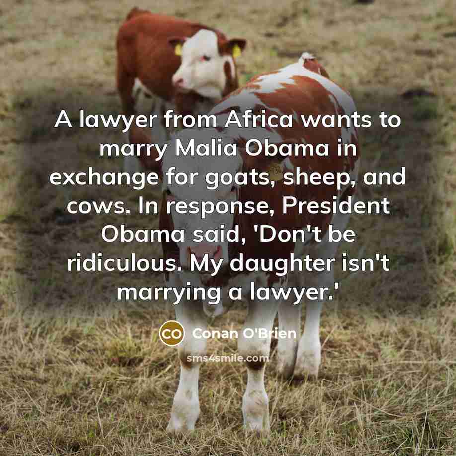 “A lawyer from Africa wants to marry Malia Obama in…” quote by Conan O'Brien