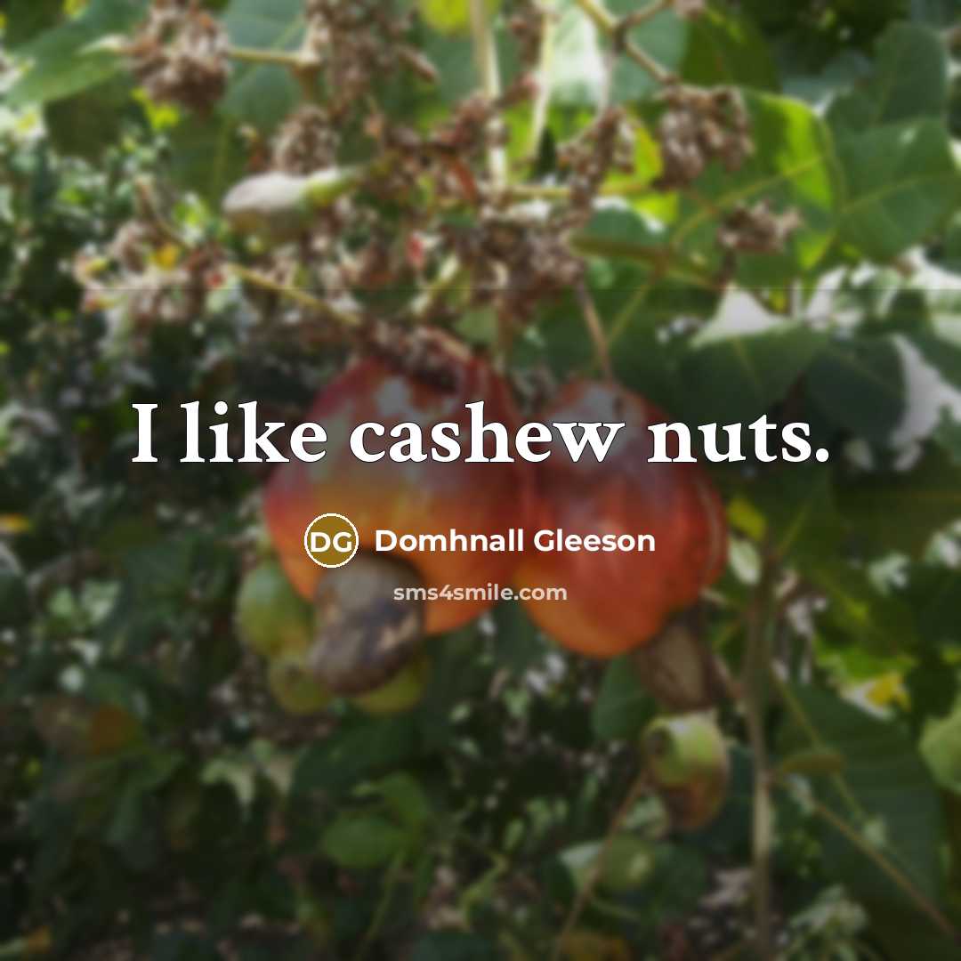 “I like cashew nuts.…” quote by Domhnall Gleeson