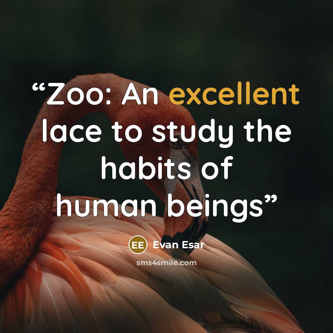 “Zoo: An excellent lace to study the habits of human beings” quote by Evan Esar