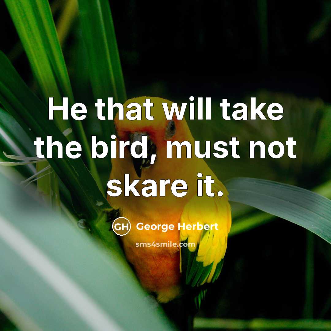 “He that will take the bird, must not skare it.…” quote by George Herbert
