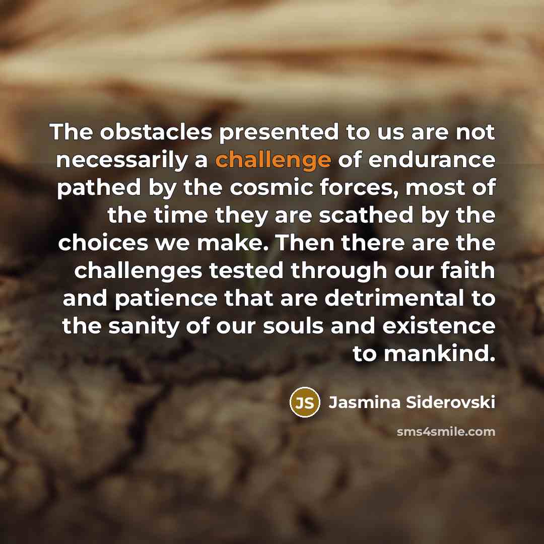 “The obstacles presented to us are not necessarily a challenge…” quote by Jasmina Siderovski