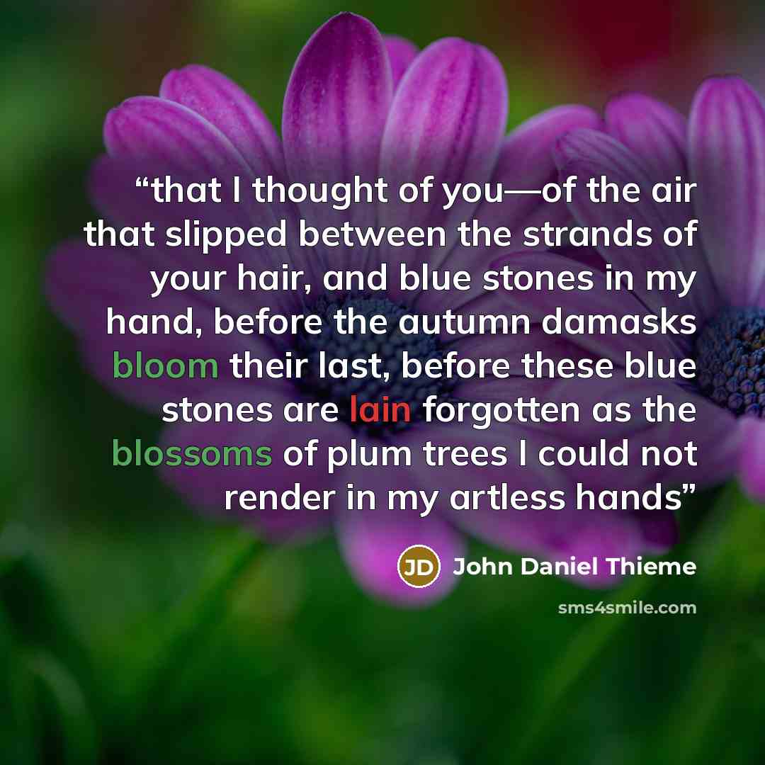 “that I thought of you—of the air that slipped between the strands of your hair, and blue stones in my hand, before the autumn damasks bloom their last, before these blue stones are lain forgotten as the blossoms of plum trees I could not render in my artless hands” quote by John Daniel Thieme
