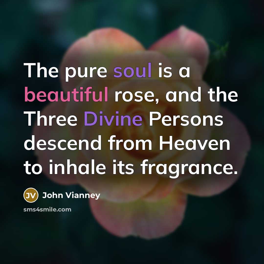 “The pure soul is a beautiful rose, and the Three…” quote by John Vianney