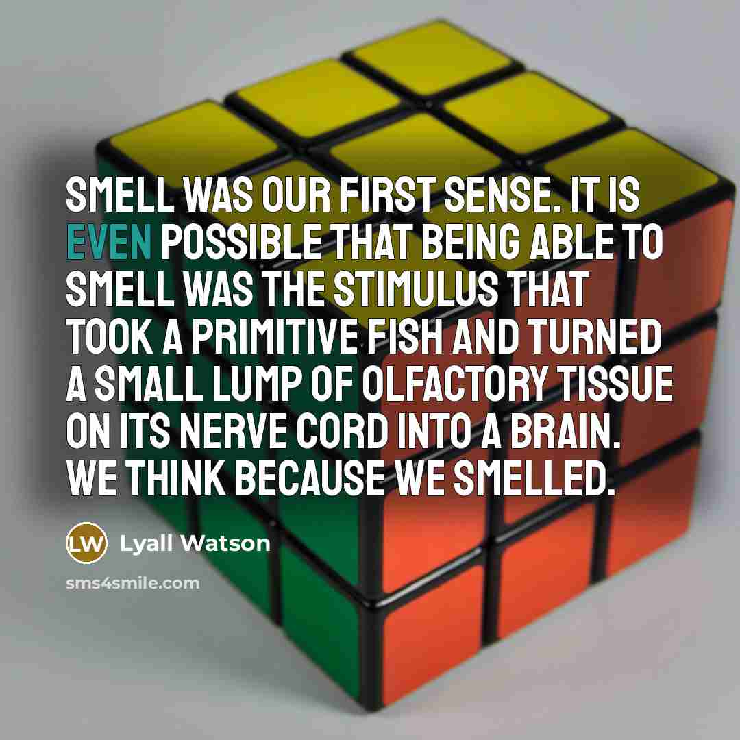“Smell was our first sense. It is even possible that…” quote by Lyall Watson