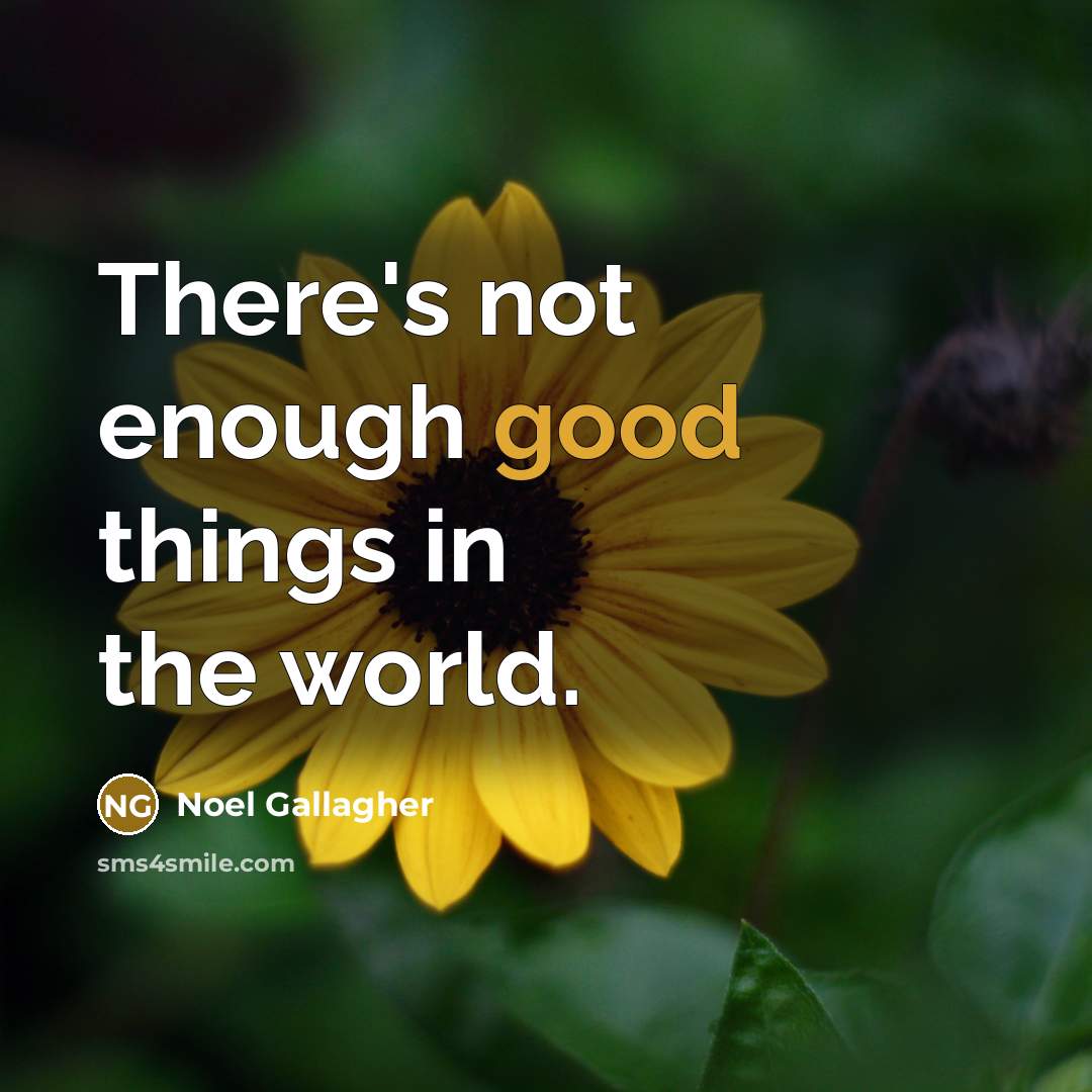 “There's not enough good things in the world.…” quote by Noel Gallagher