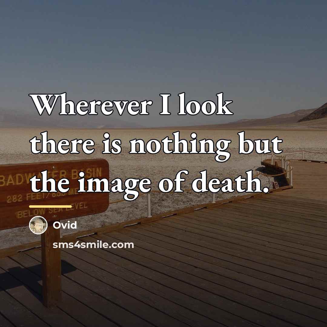 “Wherever I look there is nothing but the image of…” quote by Ovid