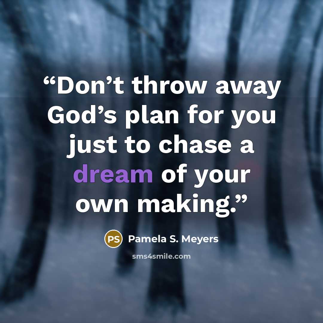 “Don’t throw away God’s plan for you just to chase a dream of your own making.” quote by Pamela S. Meyers