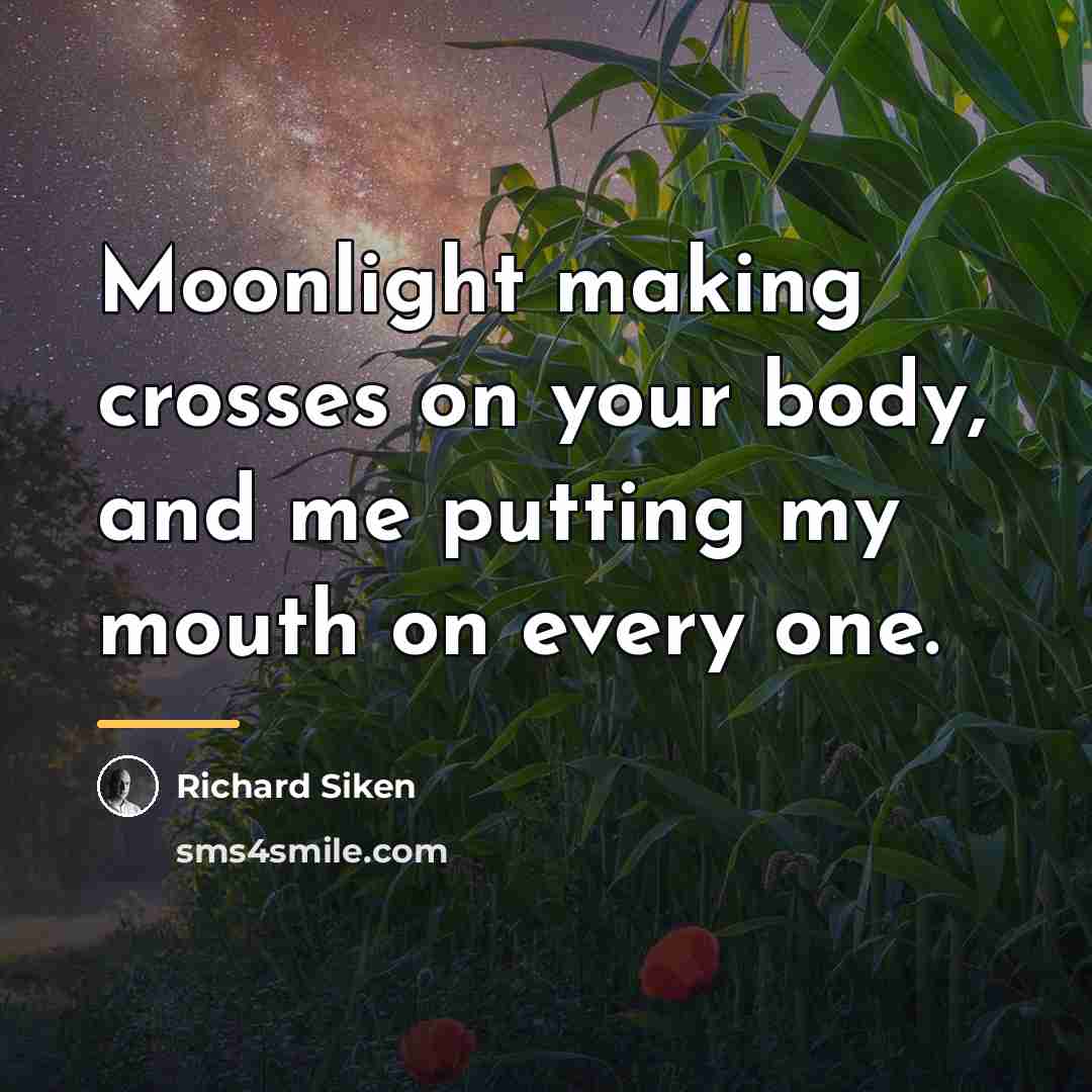 “Moonlight making crosses on your body, and me putting my…” quote by Richard Siken