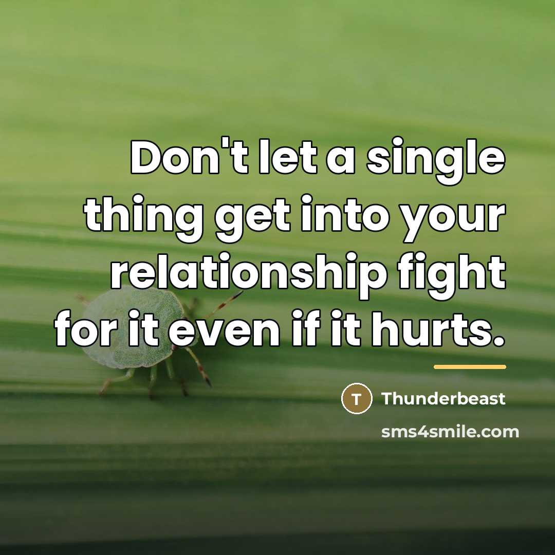 “Don't let a single thing get into your relationship fight…” quote by Thunderbeast