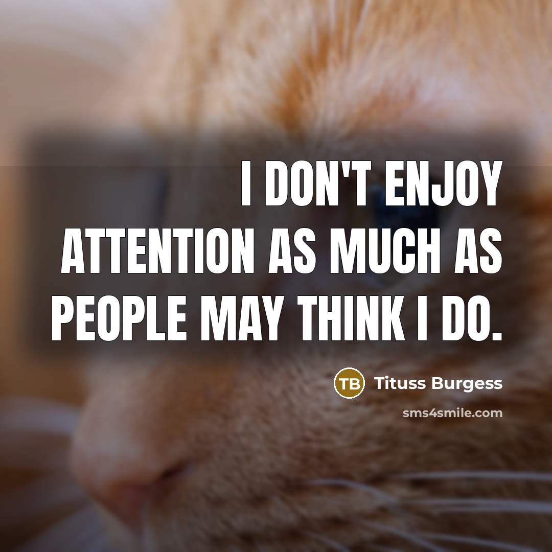 “I don't enjoy attention as much as people may think…” quote by Tituss Burgess
