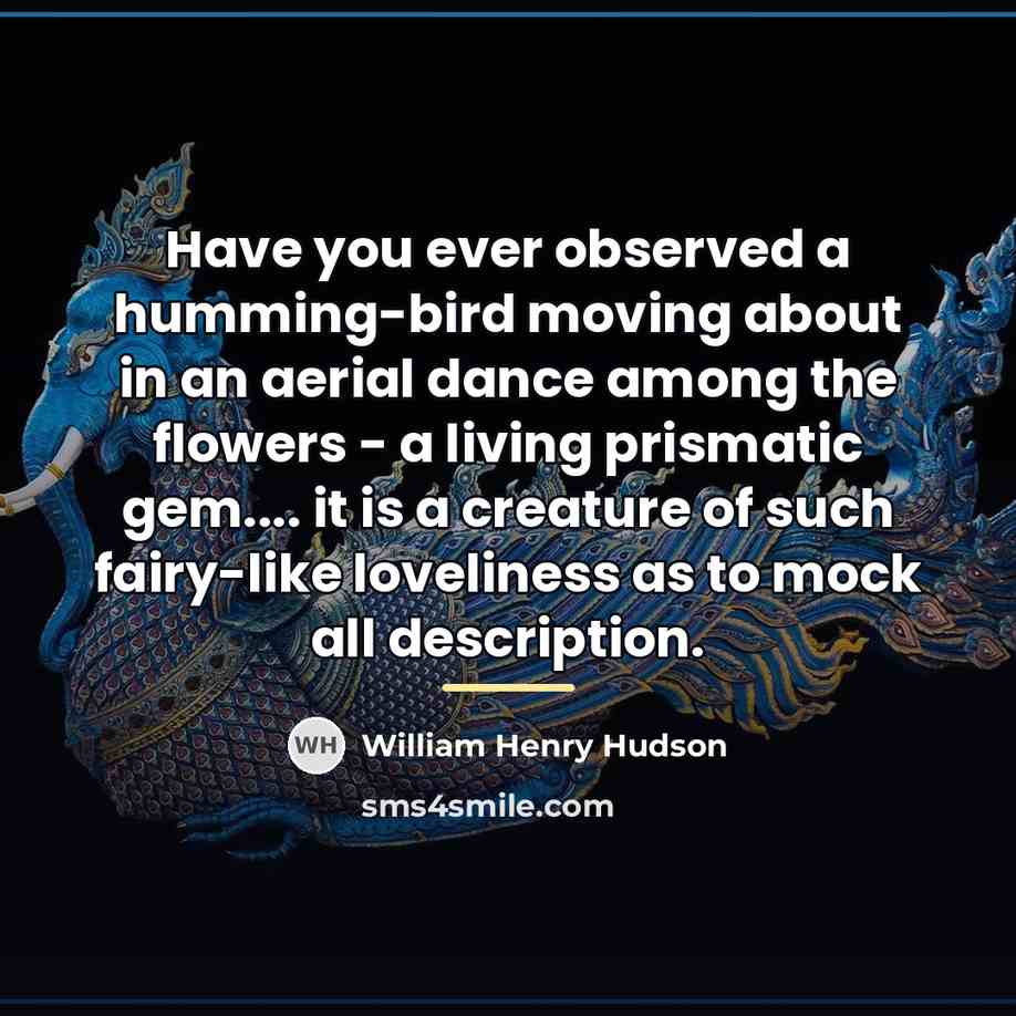 “Have you ever observed a humming-bird moving about in an…” quote by William Henry Hudson