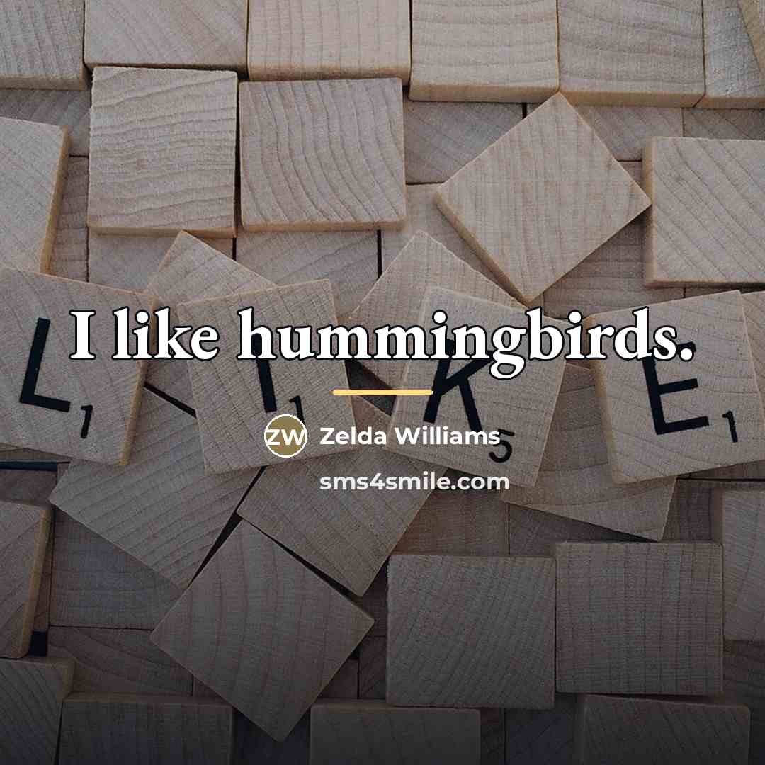 “I like hummingbirds.…” quote by Zelda Williams