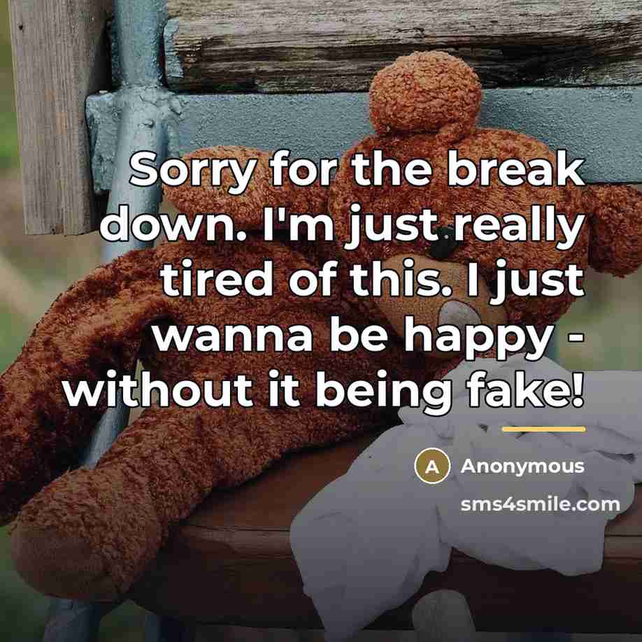 “Sorry for the break down. I'm just really tired of…” quote by Anonymous