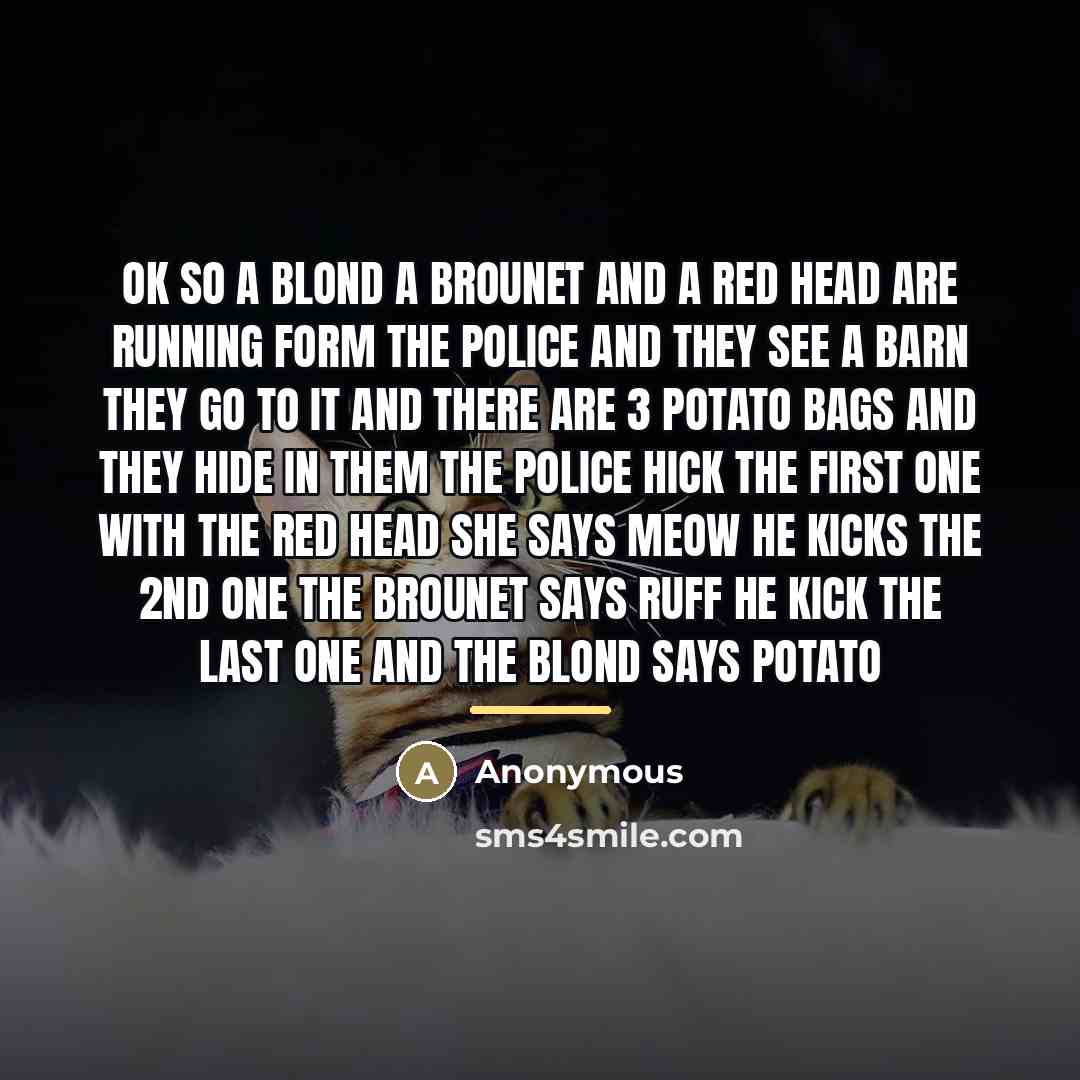 “Ok so a blond a brounet and a red head…” quote by Anonymous