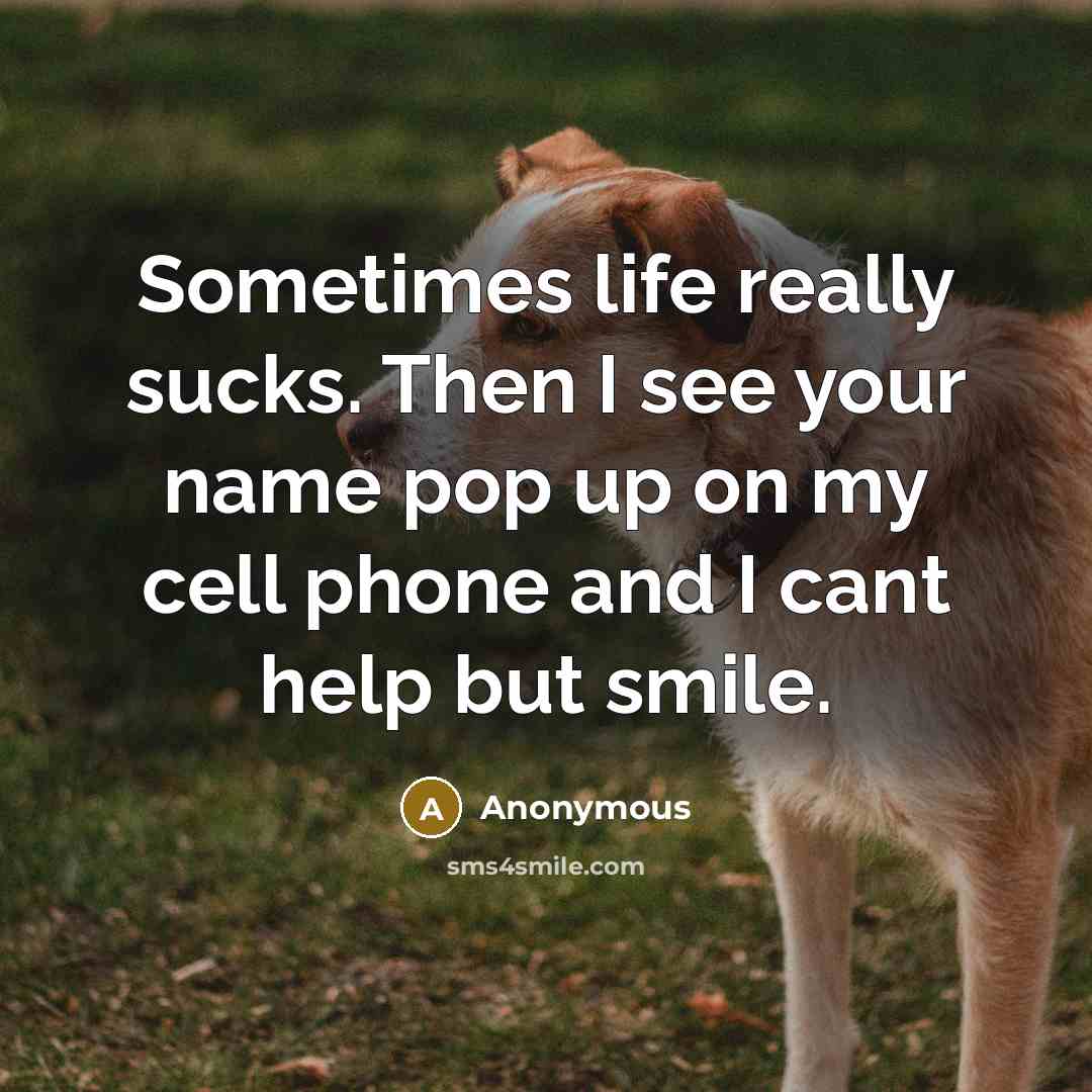 “Sometimes life really sucks. Then I see your name pop…” quote by Anonymous