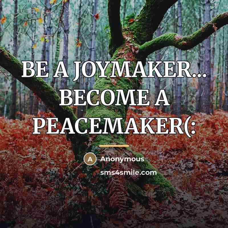 “BE A JOYMAKER... BECOME A PEACEMAKER(:…” quote by Anonymous