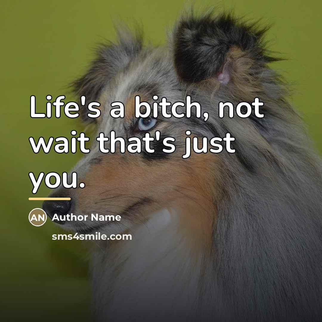 “Life's a bitch, not wait that's just you.…” quote by Author Name