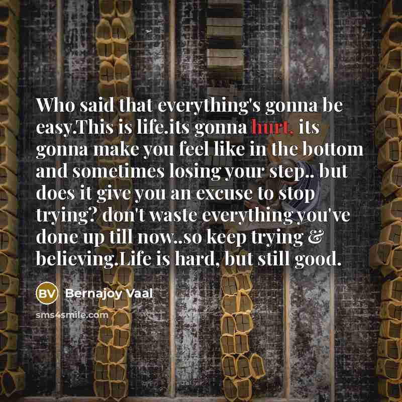 “Who said that everything's gonna be easy.This is life.its gonna…” quote by Bernajoy Vaal