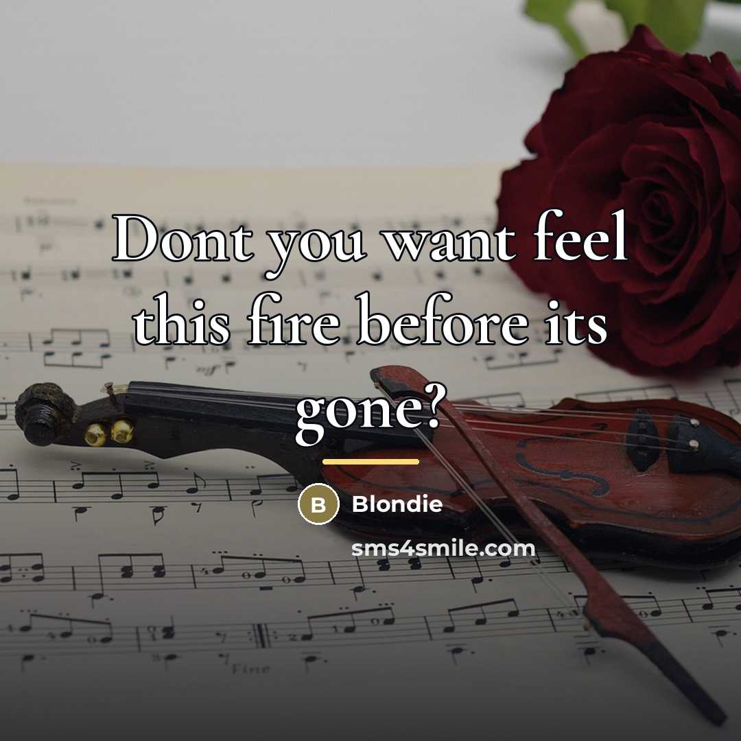 “Dont you want feel this fire before its gone?…” quote by Blondie
