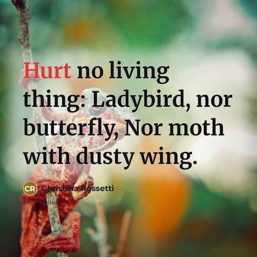 “Hurt no living thing: Ladybird, nor butterfly, Nor moth with…” quote by Christina Rossetti
