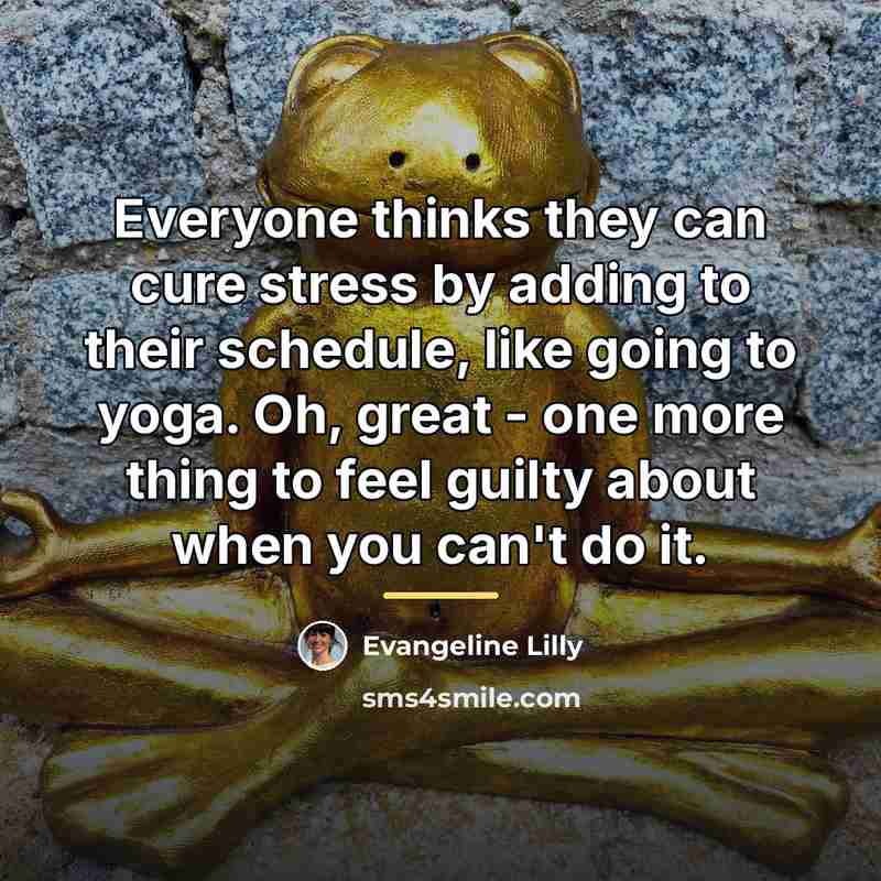 “Everyone thinks they can cure stress by adding to their…” quote by Evangeline Lilly