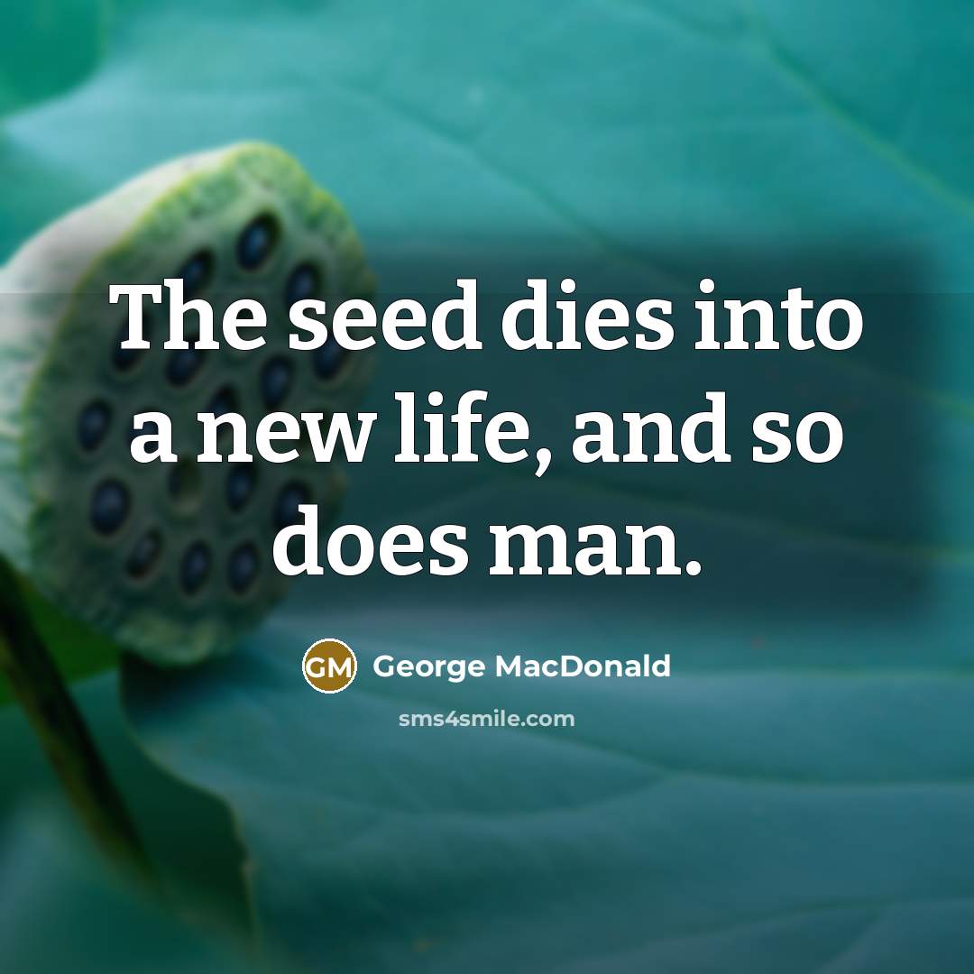 “The seed dies into a new life, and so does…” quote by George MacDonald